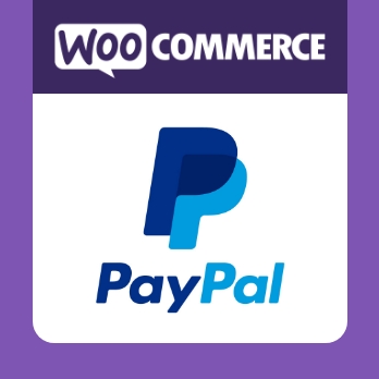 digital40 WordPress Agentur Hamburg paypal woocommerce payments